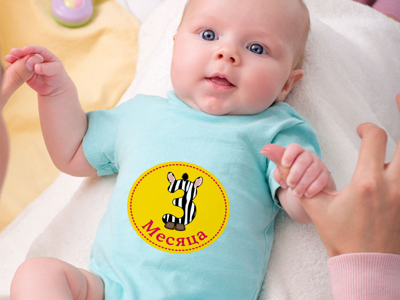 Набор наклеек с месяцами для мальчиков и девочек «Зебры»