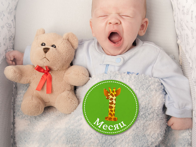 Набор забавных наклеек с месяцами «Жирафы»